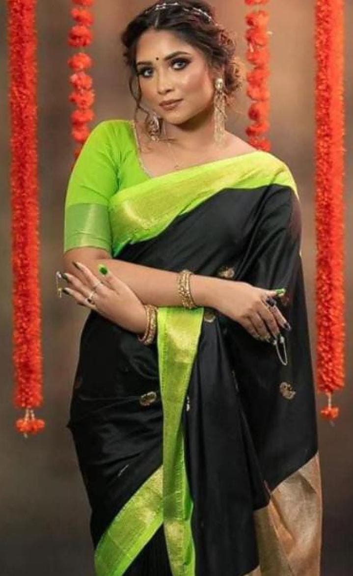 Soft silk paithani saree nakhra nation