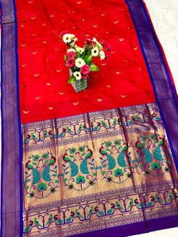 Nath Paithani Nakhra nation