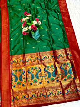 Nath Paithani Nakhra nation